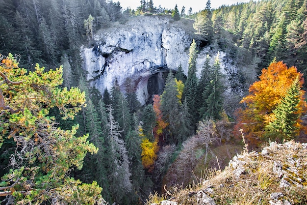 Free photo arches named wonder bridges in rhodope mountains in bulgaria