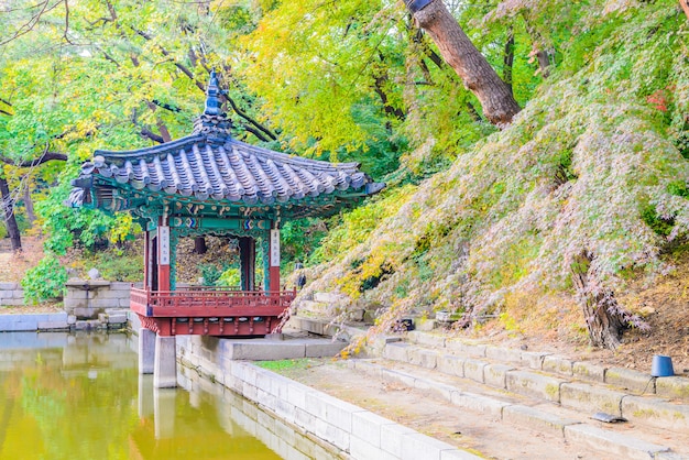 Free Photo architecture in changdeokgung palace in seoul city at korea