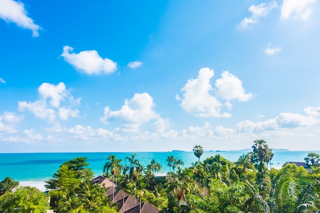 Arial view of sea and beach