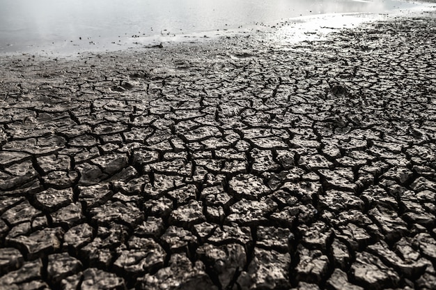 Free photo arid land with dry and cracked ground, global warming