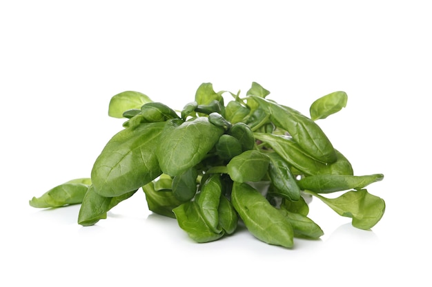 Free photo aromatic herbs on a white surface