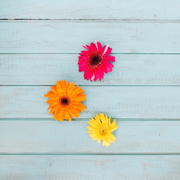 Arranged bright flowers in triangle