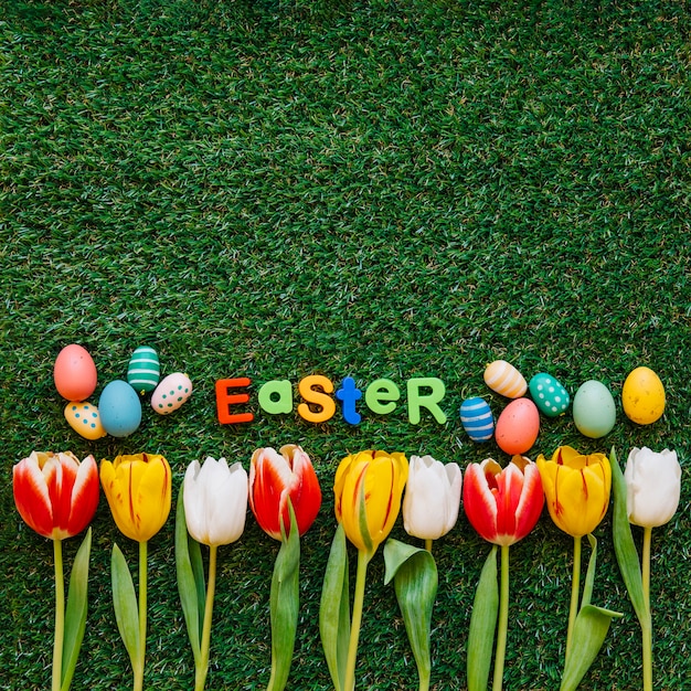 Free photo arranged eggs and tulips on grass