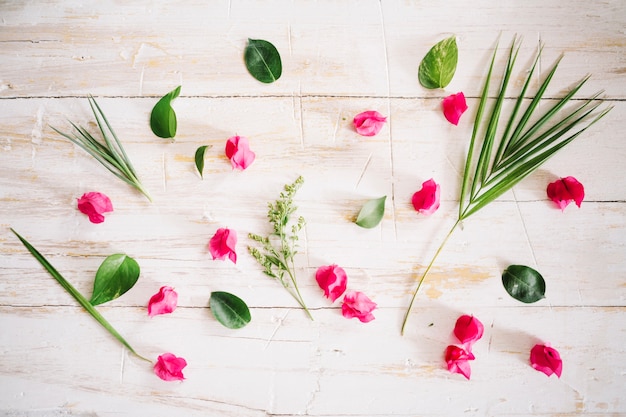 Arranged petals and foliage on wood