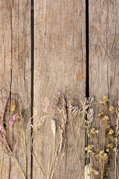 Arrangement of dried plants  on wooden background with copy space