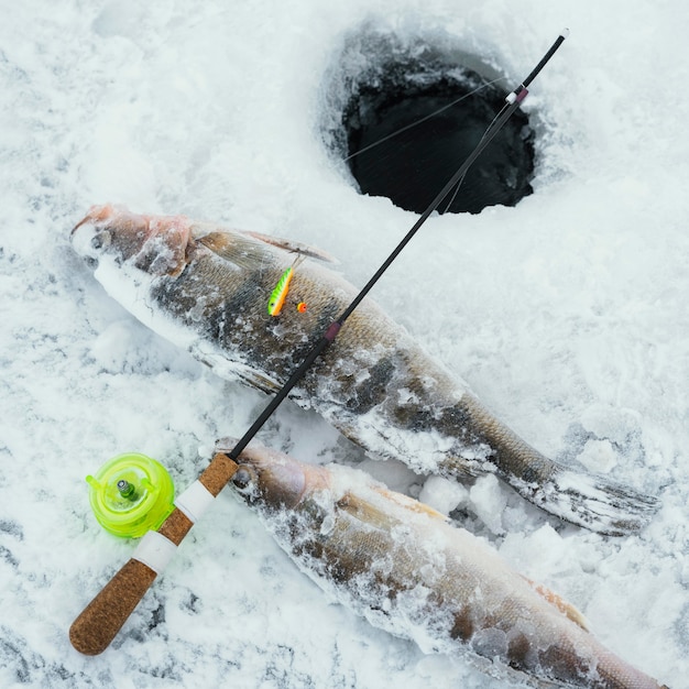 Arrangement of fishing elements outdoors