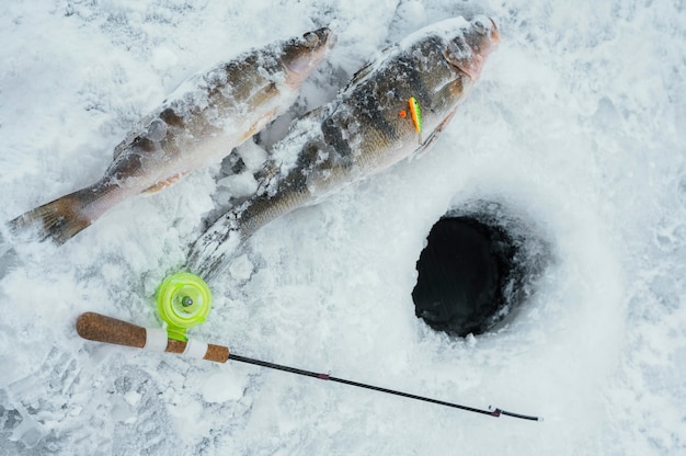 Arrangement of fishing elements outdoors