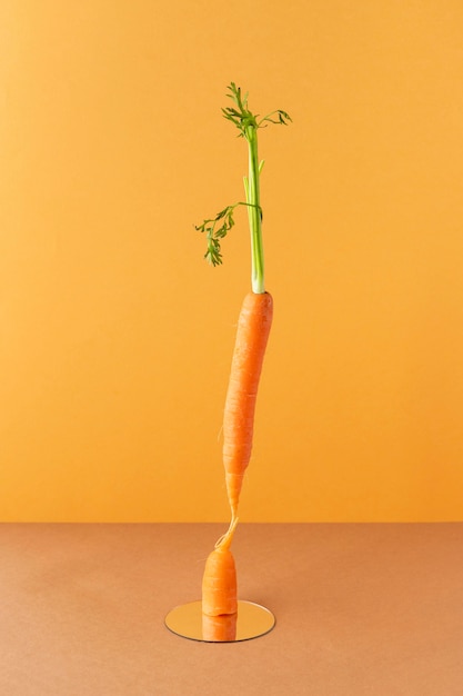 Free photo arrangement of healthy vegetarian food