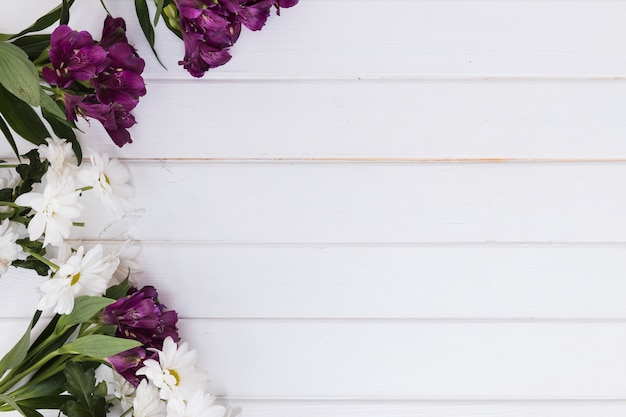 Free Photo arrangement of mixed tender flowers on white