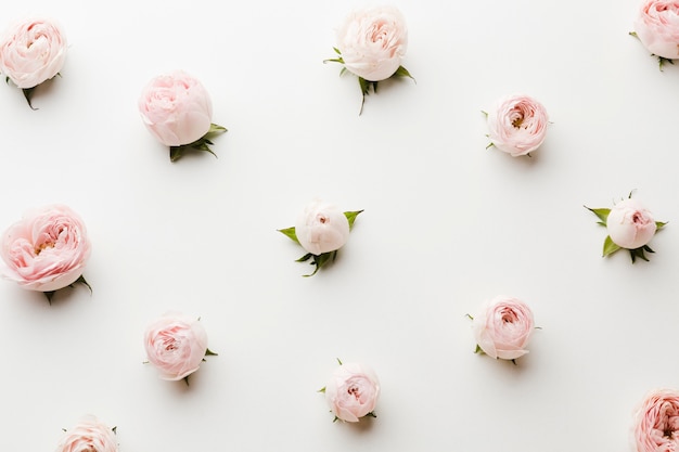 Arrangement of pink roses top view