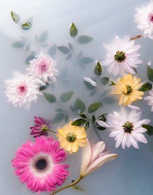 Free photo arrangement of spa therapeutic flowers