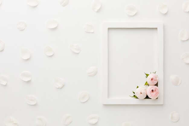 Arrangement of white empty frame with roses and petals