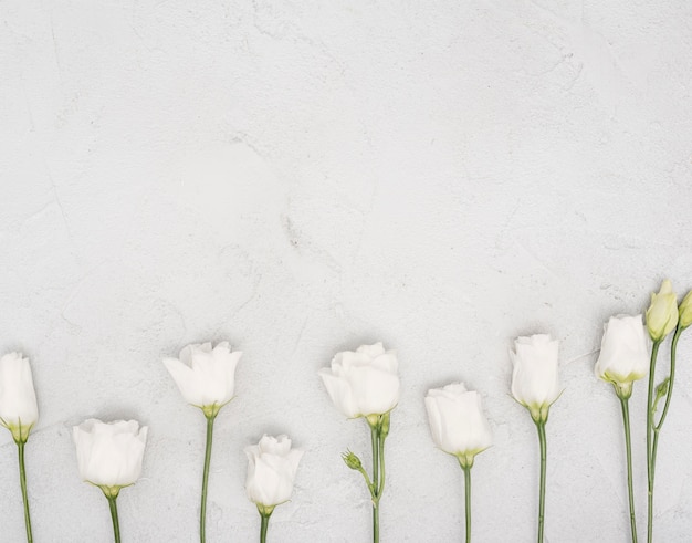 Free photo arrangement of white roses flat lay