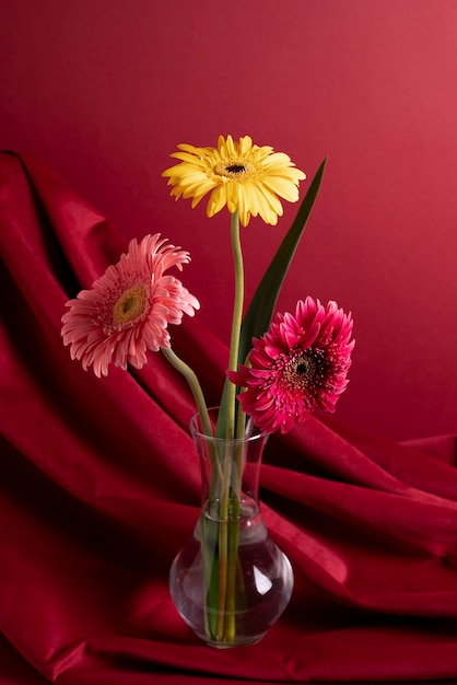 Arrangement with beautiful gerbera in vase