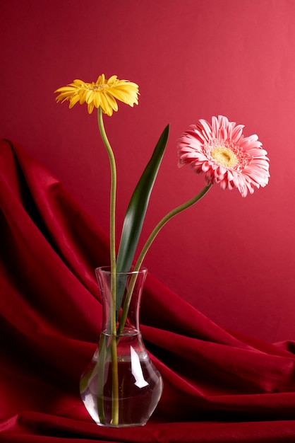 Free photo arrangement with beautiful gerbera in water vase