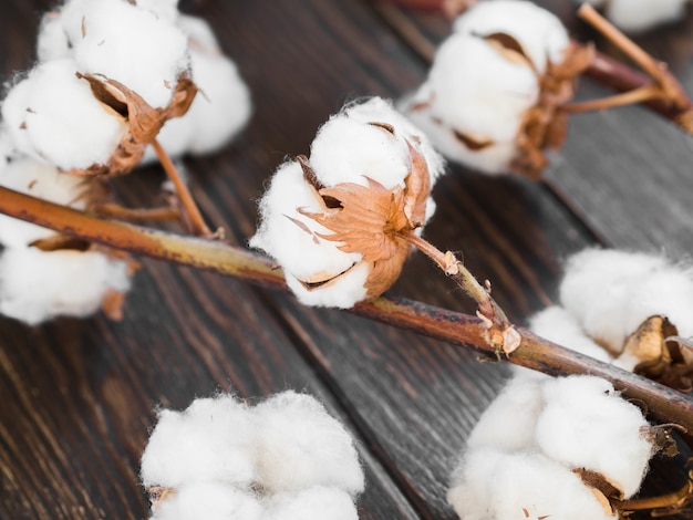 Arrangement with cotton flowers on wooden background