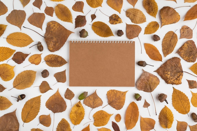 Arrangement with dried leaves and craft notebook