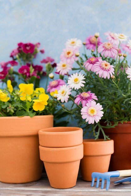 Arrangement with flowers and gardening tools