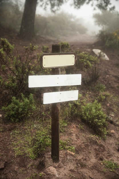 Free Photo arrangement with sign in nature