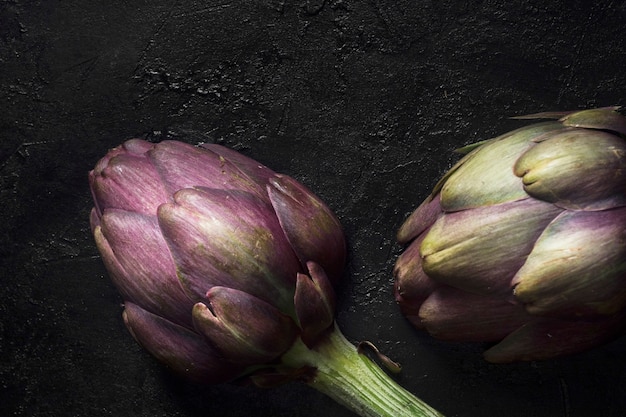 Artichoke plant extreme close up