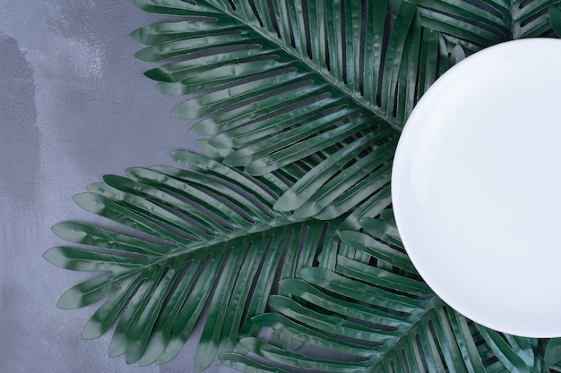 Artificial green leaves around white plate on blue.