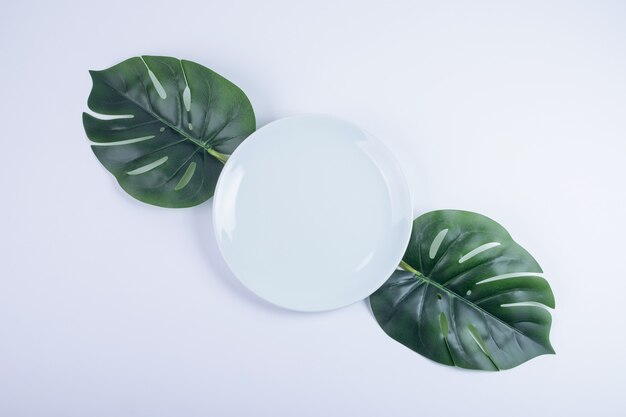 Artificial green leaves and white plate on white surface.