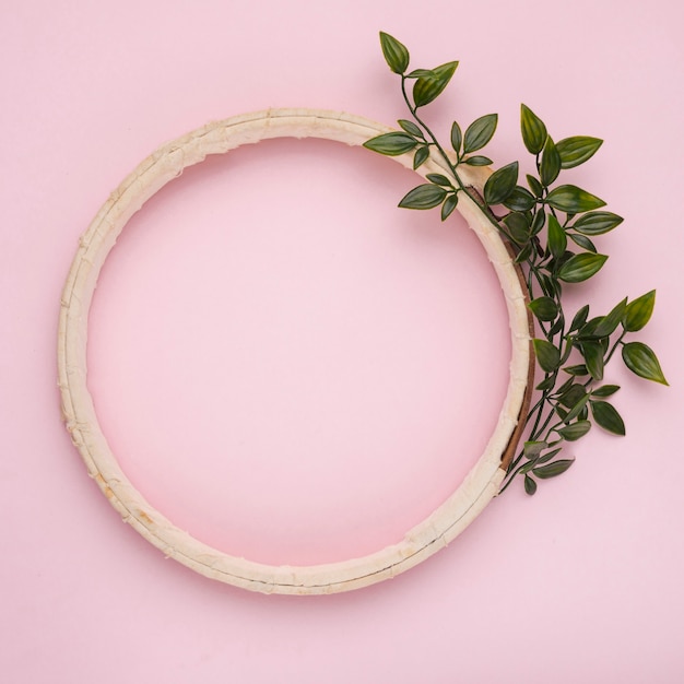 Free Photo an artificial green twig near the wooden border frame on pink background