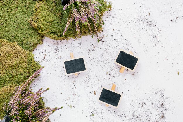 Artificial turf and blank placard against white background