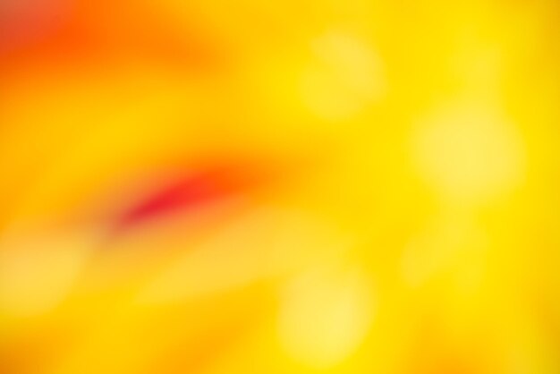 Artistic blurry colorful wallpaper background