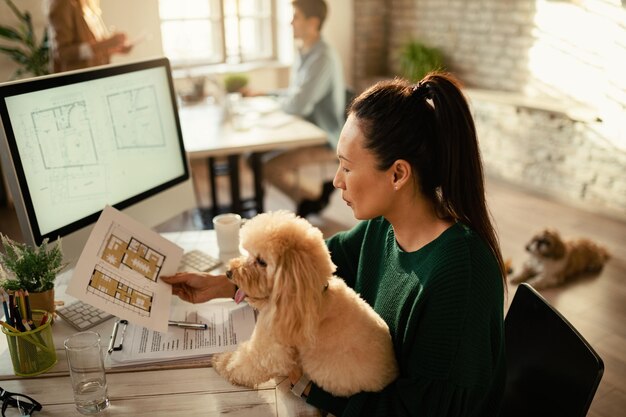 Asian businesswoman reading blueprints while holding her dog and working in the office