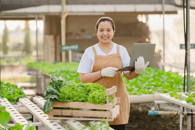 Asian farmer woman working with laptop in organic vegetable hydroponic farm. Hydroponic salad garden owner checking quality of vegetable in greenhouse plantation.