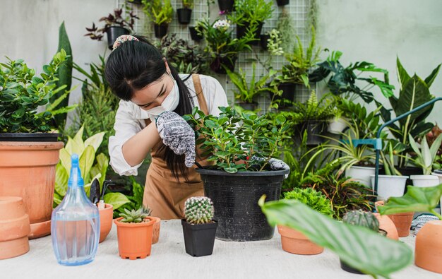 Asian gardener woman wearing face mask and apron using shovel to transplants houseplant and cactus