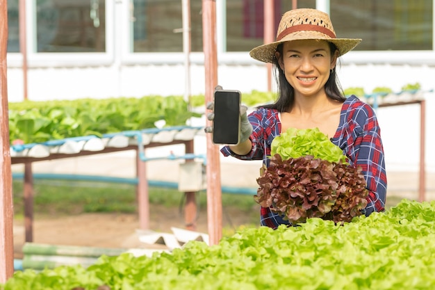 Asian woman farmers working using mobile in vegetables hydroponic farm with happiness. Portrait of woman farmer checking quality of green salad vegetable with smile in the green house farm.