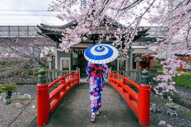 Asian woman wearing japanese traditional kimono and cherry blossom in spring, Kyoto temple in Japan.