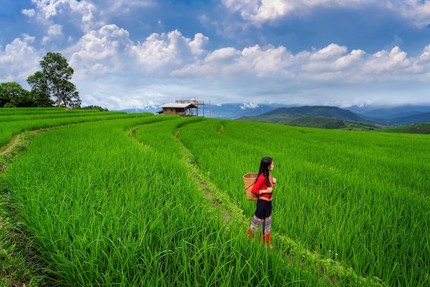 Free photo asian woman wearing thai culture traditional at rice terrace of ban pa bong piang in chiang mai, thailand