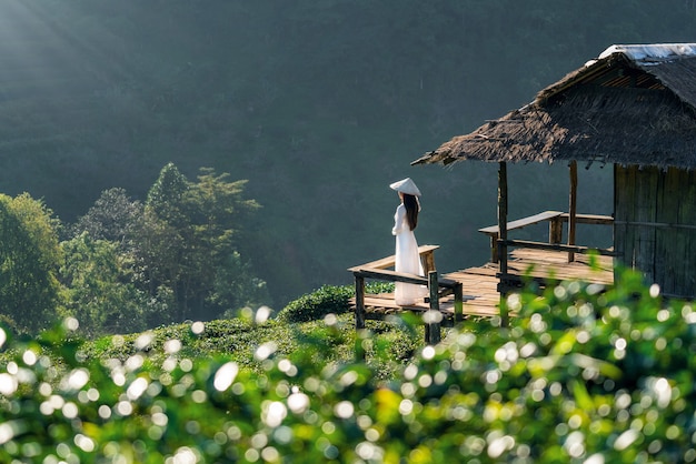 Asian woman wearing Vietnam culture traditional in green tea field on Doi Ang Khang , Chiang Mai, Thailand