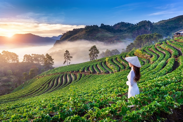 Asian woman wearing Vietnam culture traditional in strawberry garden on Doi Ang Khang , Chiang Mai, Thailand.