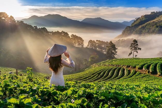 Asian woman wearing Vietnam culture traditional in strawberry garden on Doi Ang Khang , Chiang Mai, Thailand.