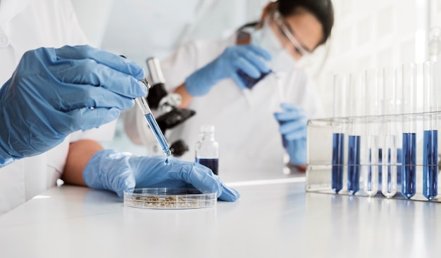 Asian women working together on a chemical project