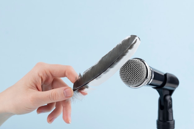 Free photo asmr microphone with feather for sound