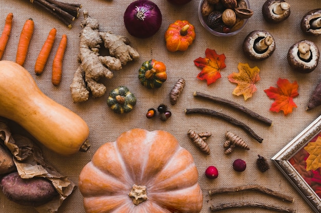 Free Photo assorted autumn vegetables composition