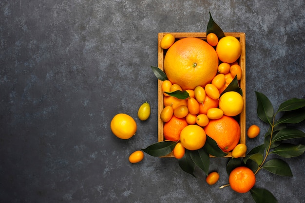 assorted fresh citrus fruits in food storage basket,lemons,oranges,tangerines,kumquats,grapefruit,top view