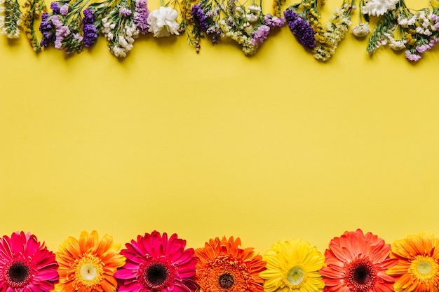 Assortment of flowers on yellow background