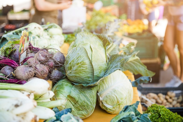 Assortment of fresh vegetables at market