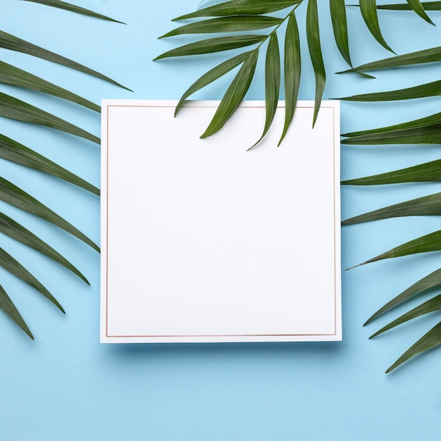 Assortment of green leaves with empty frame