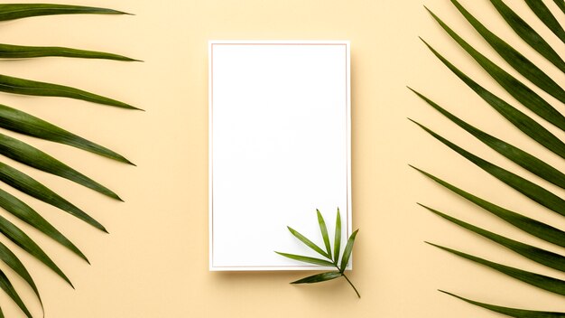 Assortment of green leaves with empty frame