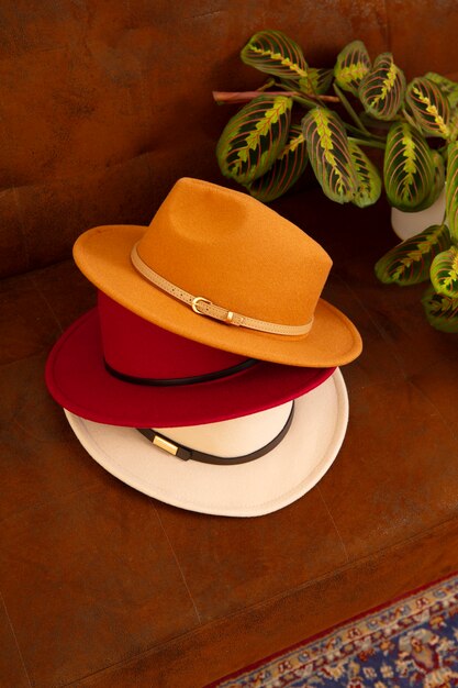 Assortment of stylish fedora hats