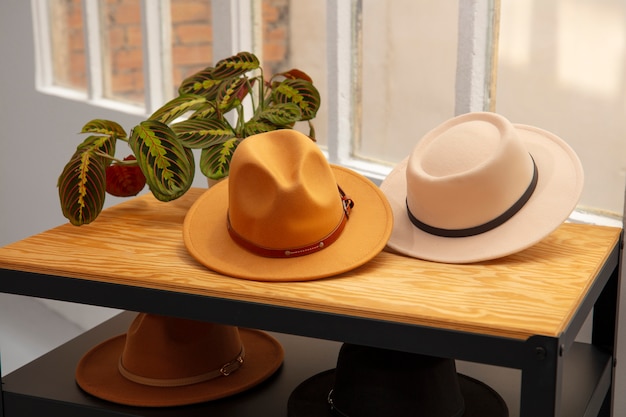 Free photo assortment of stylish fedora hats