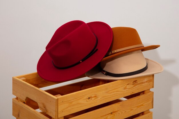 Assortment of stylish fedora hats