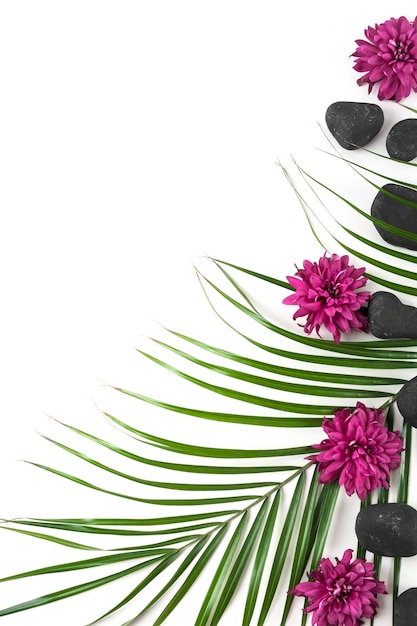 Free Photo aster flowers; black spa stone and palm leaf over white background